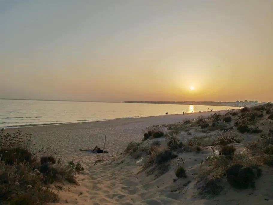 Sea View Apartment In Armacao De Pera, Algarve Pt