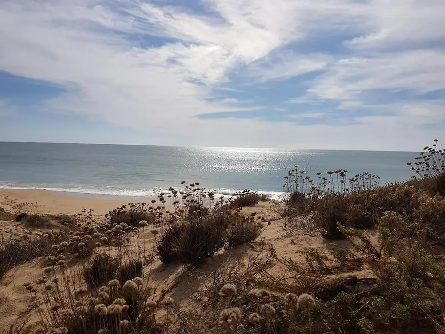 Sea View Apartment In Armacao De Pera, Algarve Pt 포르투갈